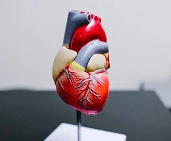 Is the Cholesterol Multifunction Analyzer Useful? What Should Be Paid Attention to when Using It?