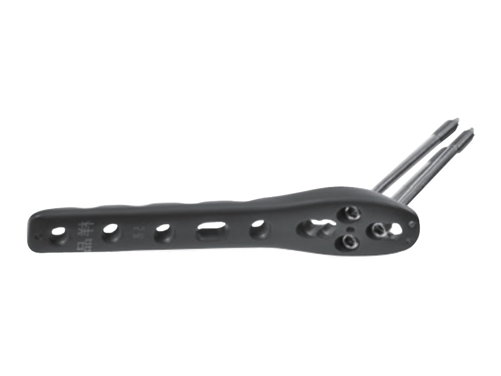 Dynamic Hip Locking Plate I