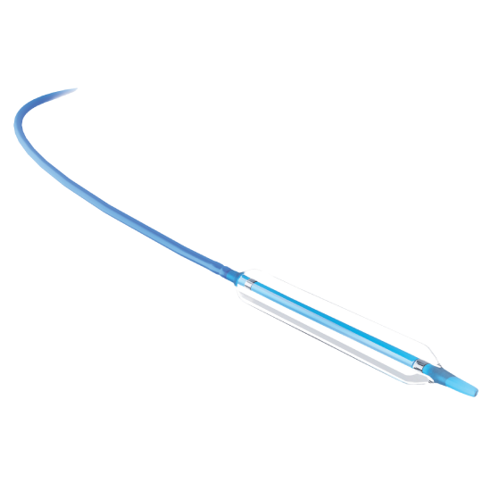 Mini Tadpole Coronary Dilatation Catheter