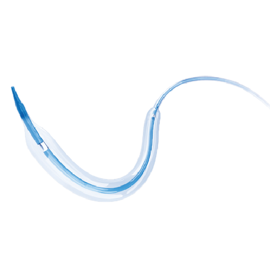 Tadpole Coronary Dilatation Catheter