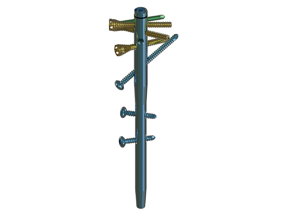 1742978821962204.jpg 1742978821962204.jpg