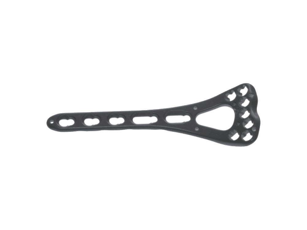 Volar Distal Radius Locking Plate (I), Combined-lock