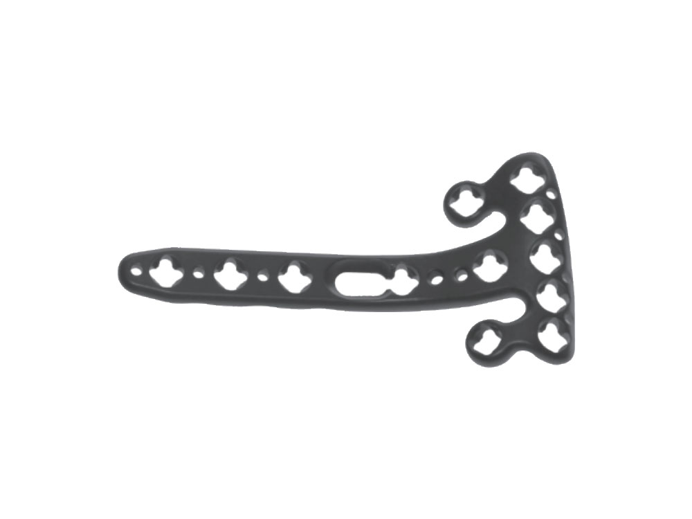 Variable Angle Volar Rim Distal Radius Locking Plate, Combined-lock