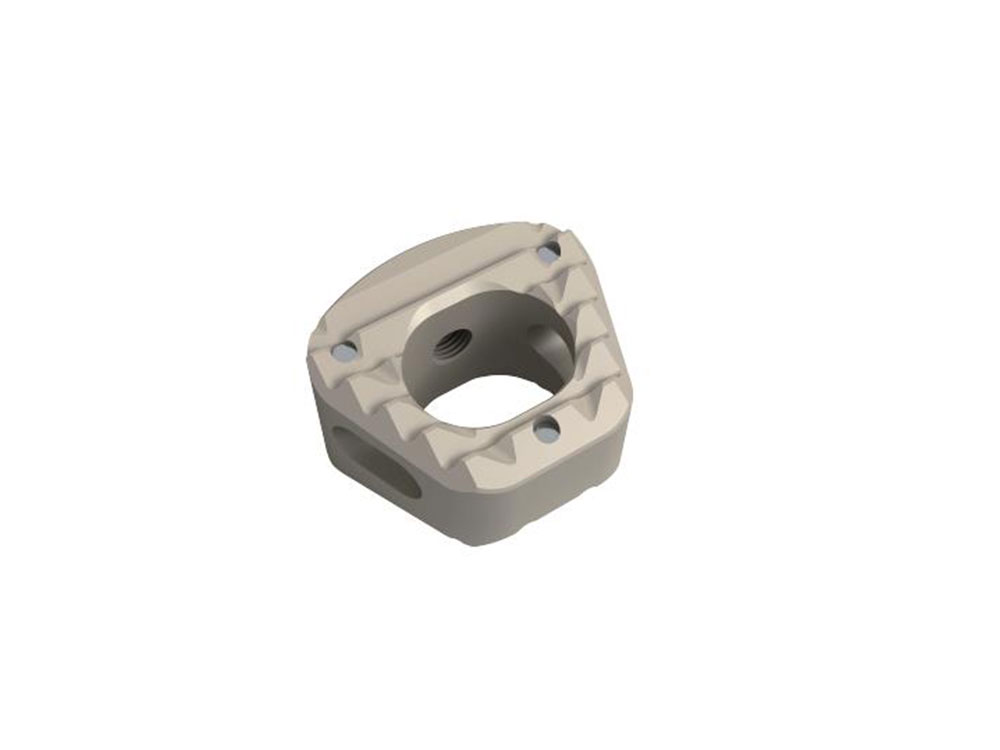 Interbody Cages for Spine Fusion PEEK CAGE Interbody Cages for Spine Fusion PEEK CAGE