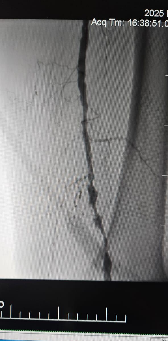 492769359_1095056289311349_4488608857810412033_n.jpg 492769359_1095056289311349_4488608857810412033_n.jpg