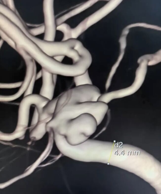 1745564921599.jpeg 1745564921599.jpeg