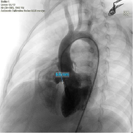 1741576172867.jpeg 1741576172867.jpeg