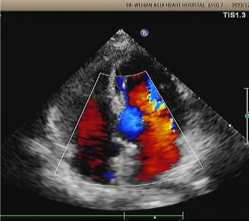 1742290505097.jpeg 1742290505097.jpeg