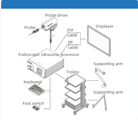 图片20.png 图片20.png
