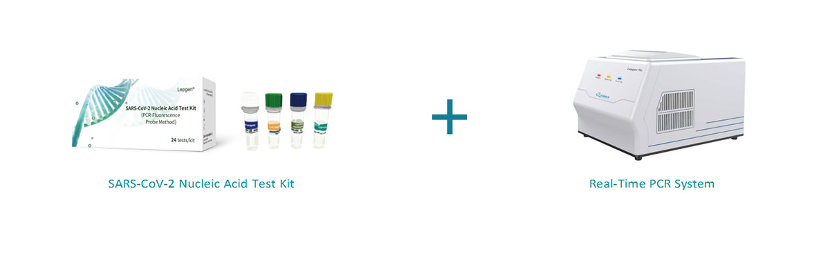 PCR Fluorescence Probing PCR Fluorescence Probing